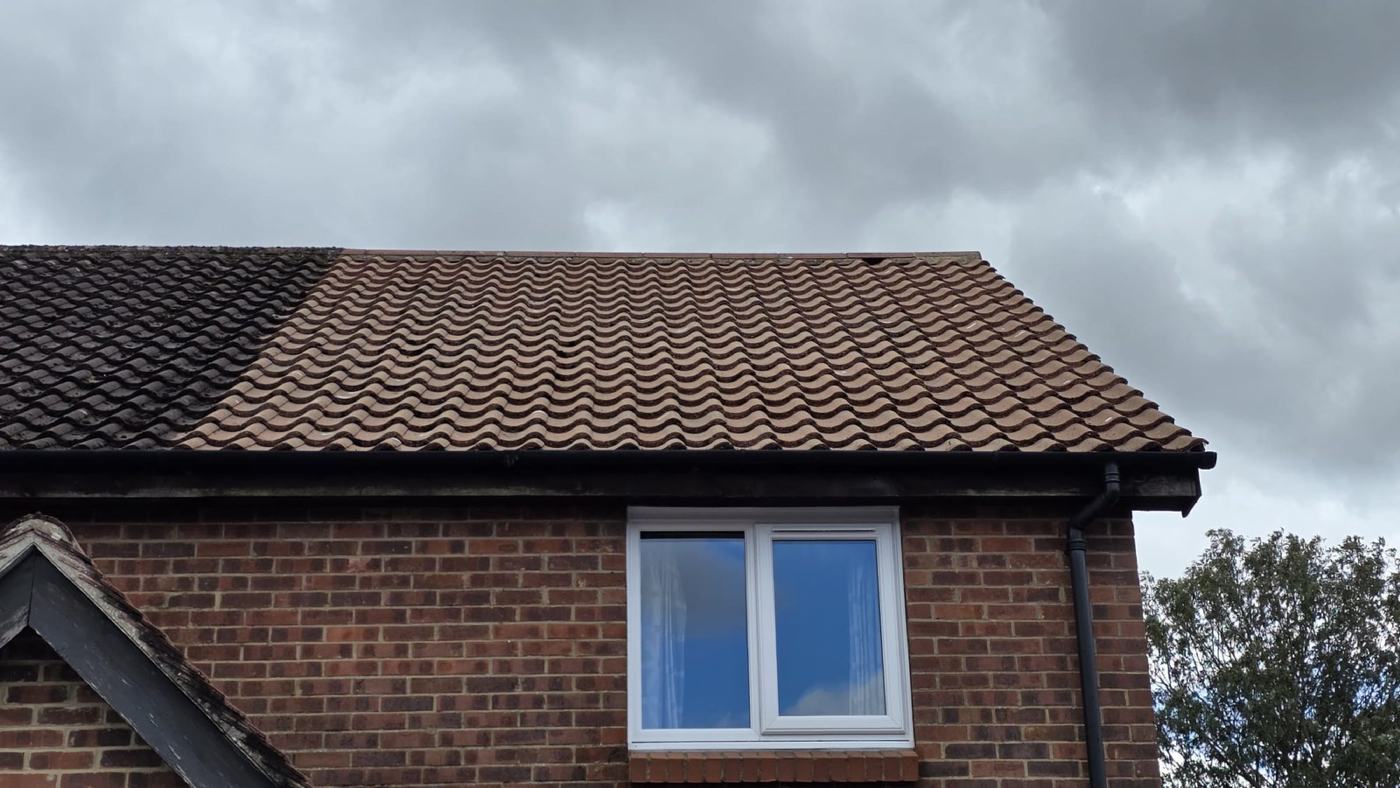 A pantile roof half cleaned in one photograph, clean orange tiles beside the dark mossy half