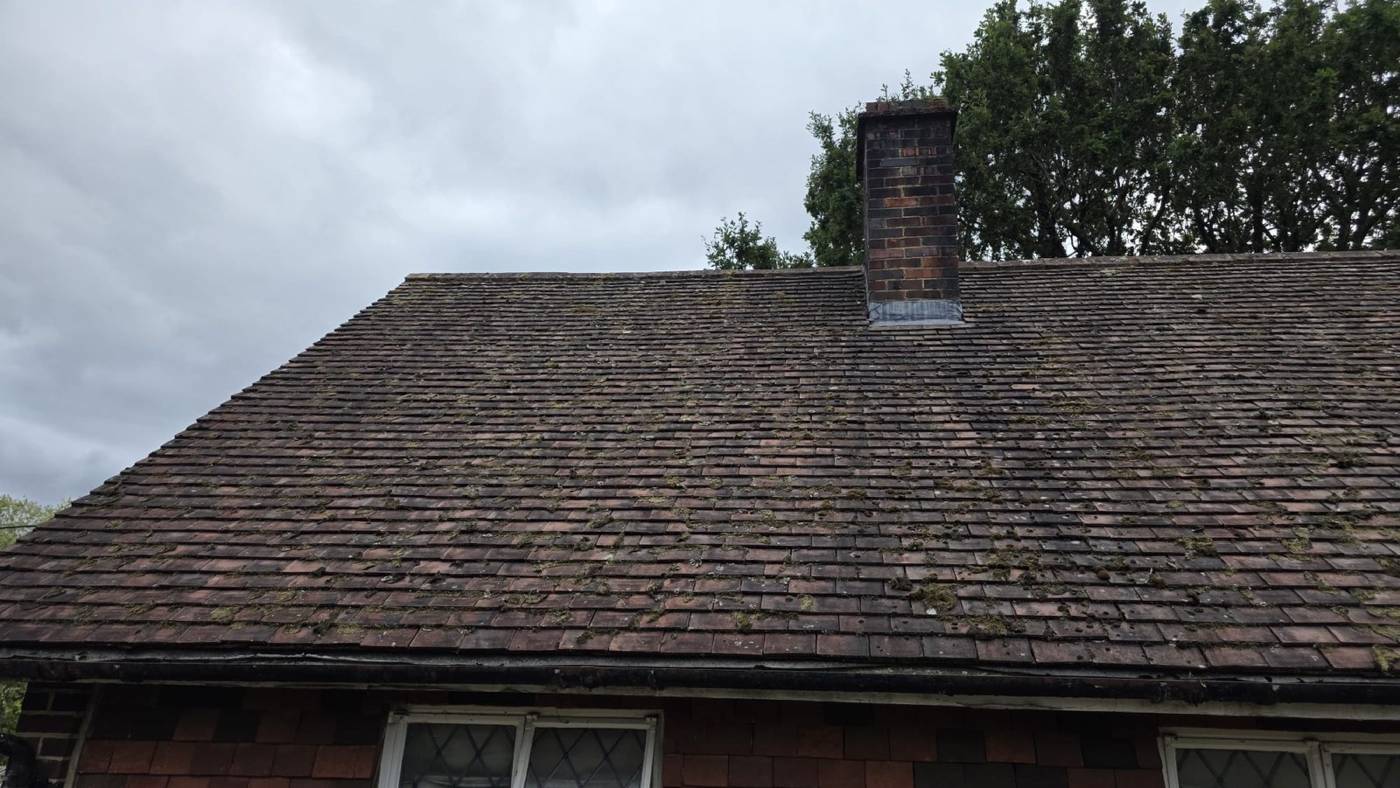 Before roof cleaning & soft washing