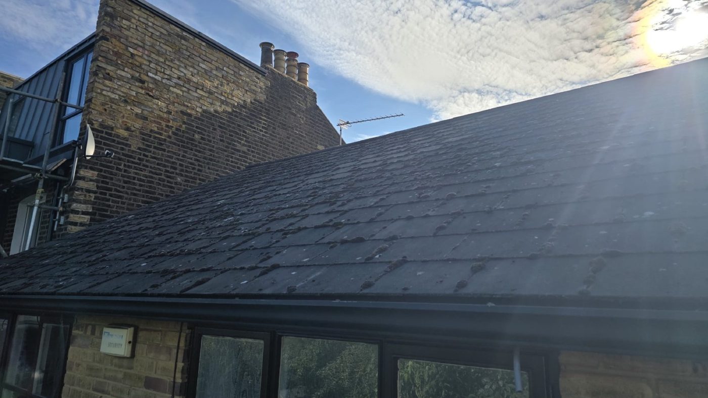 Before roof cleaning & soft washing